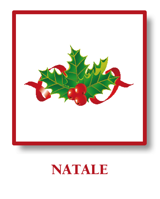 Bottone NATALE promo